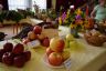 Výstava ovocia a zeleniny 2013